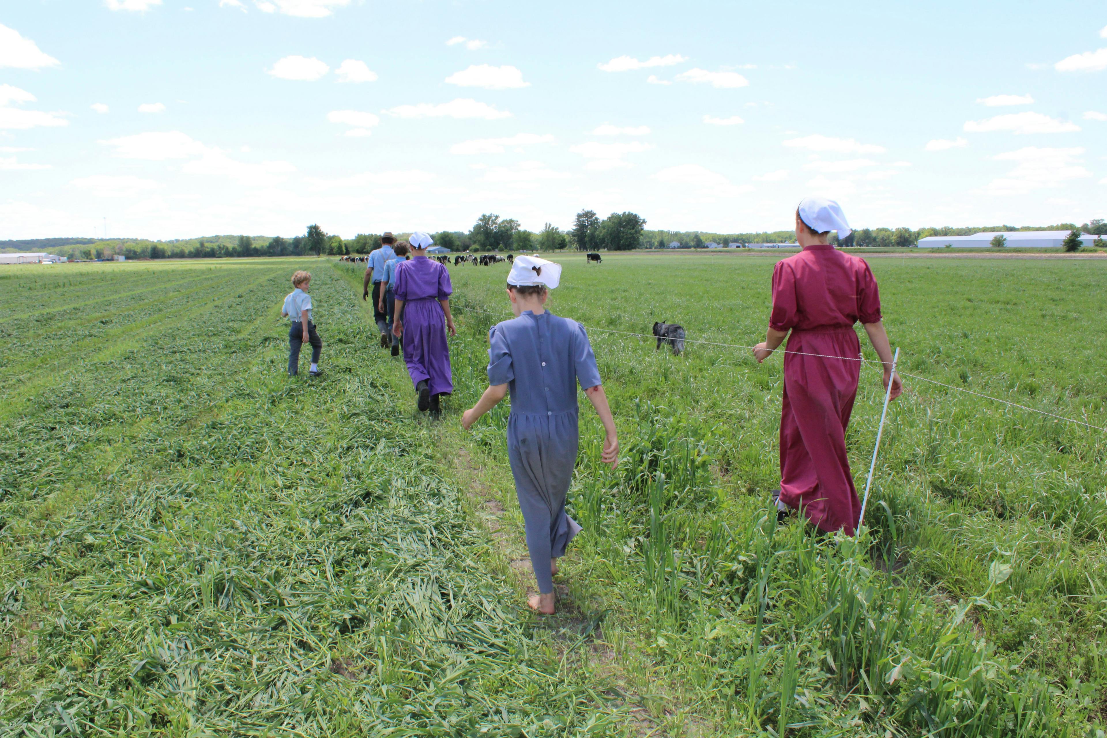 Miller family members walk across a green field on their Iowa farm.