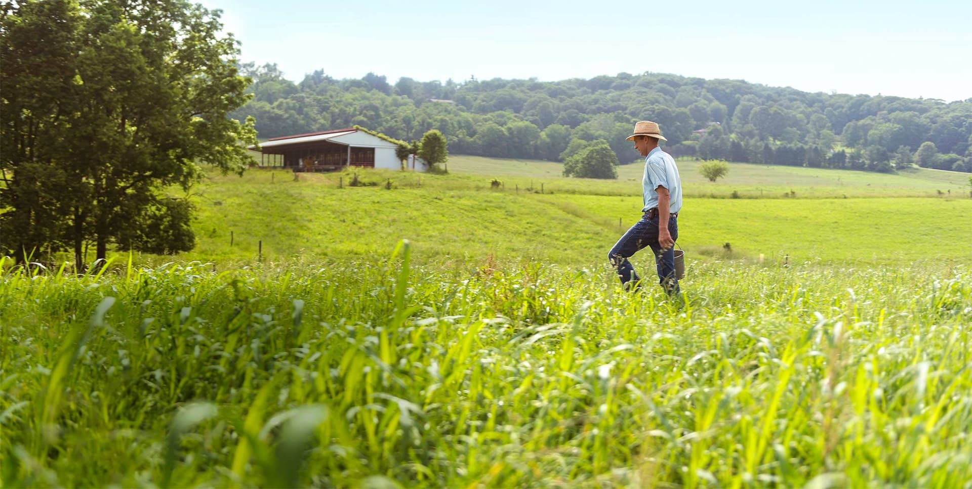 man walking through pasture of tall grass.