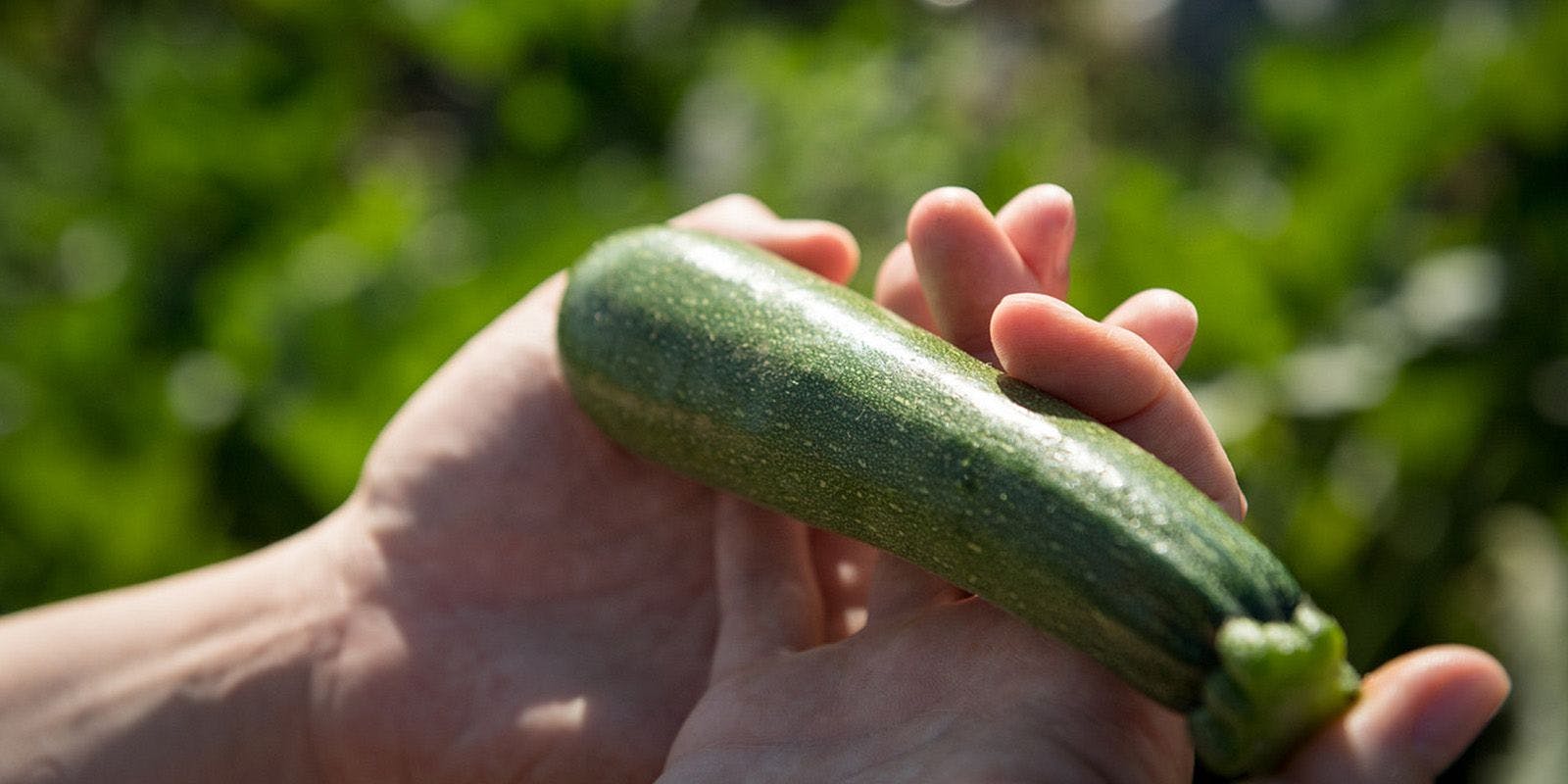 A man holding zucchini in his hands