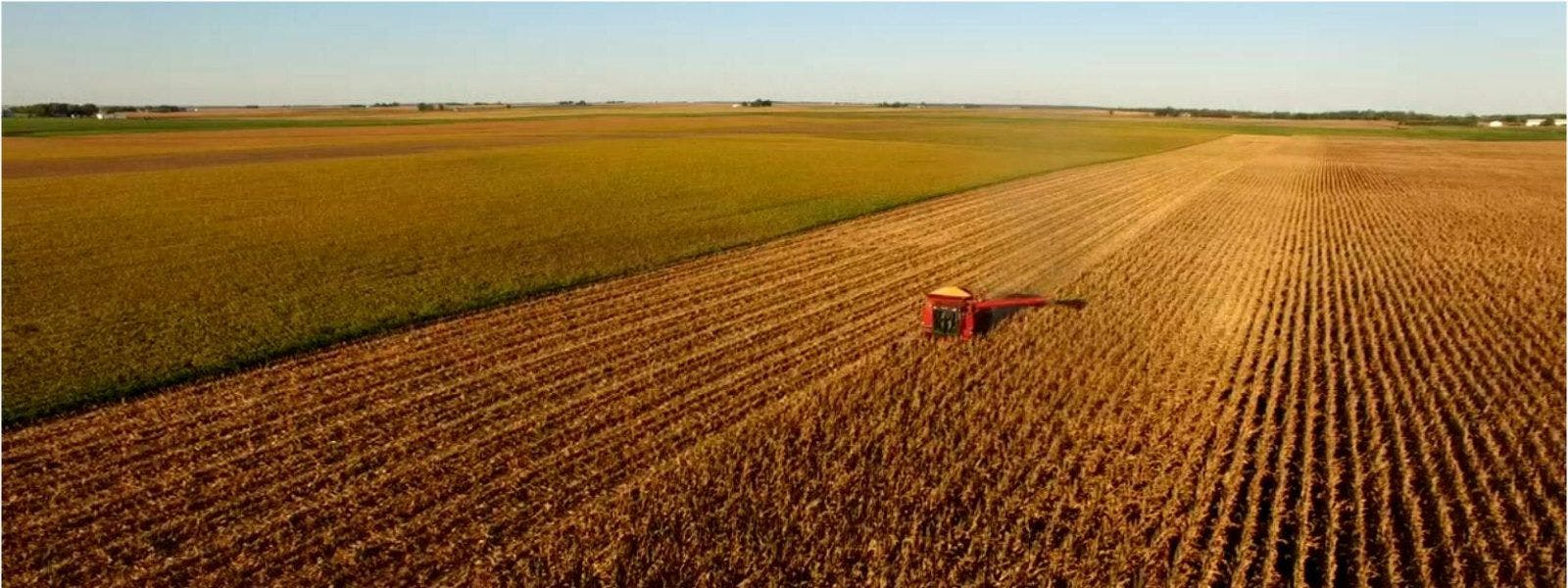Aerial view of a combine harvesting corn, by Ron Frazier