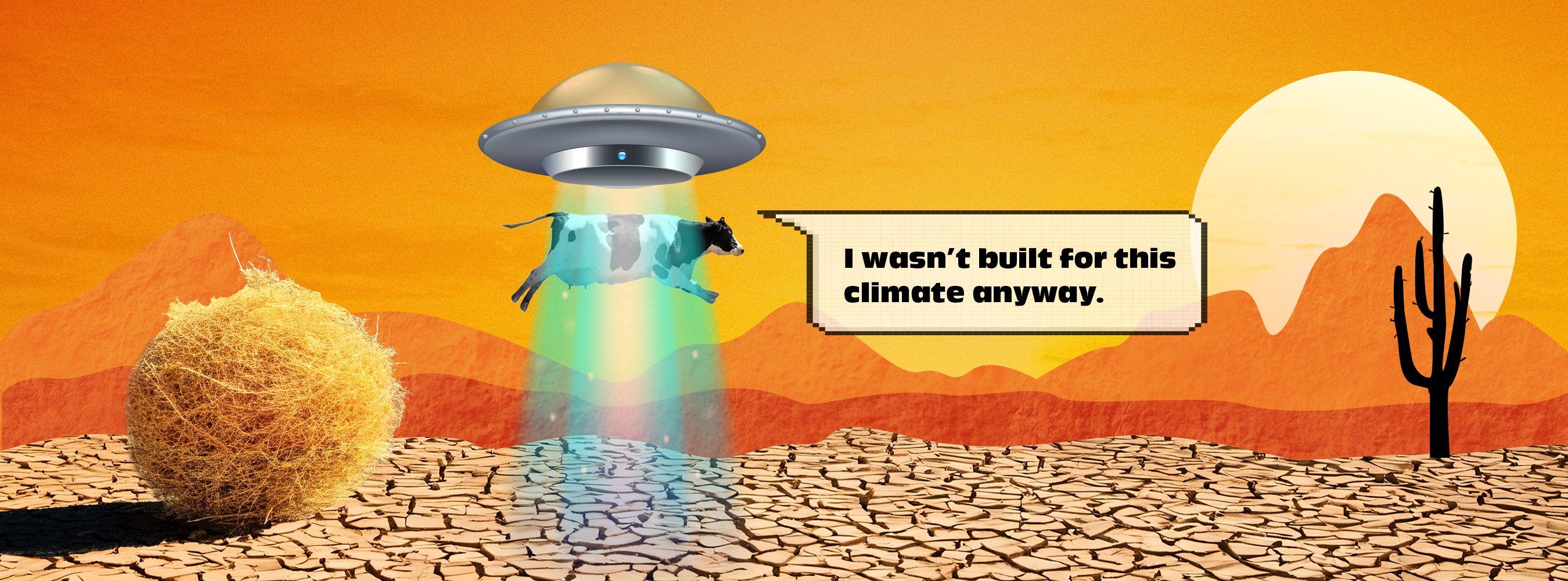 Cow in the desert with UFO saying "I wasn't built for this climate anyway".