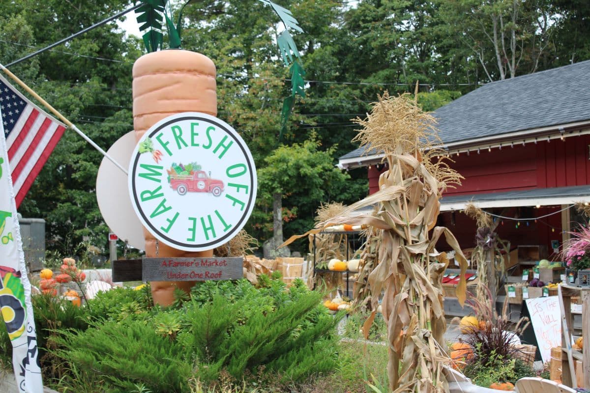 A giant carrot with a sign that says “Fresh Off The Farm.”